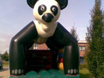 Luchtkussen Panda