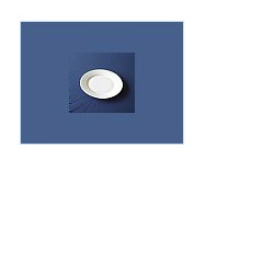 Partyverhuur Bord 17 cm