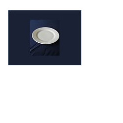 Partyverhuur Bord 24 cm